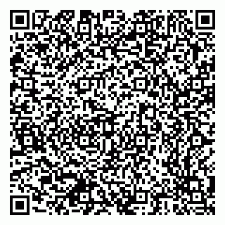 vCard 79378700256