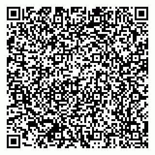vCard 79378700257