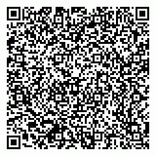 vCard 79378700258