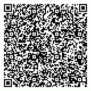 vCard 79378700263