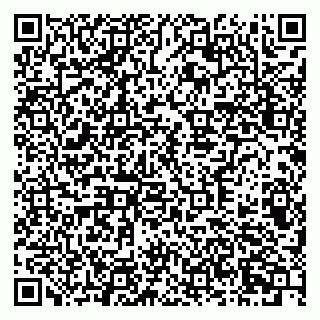 vCard 79378700267