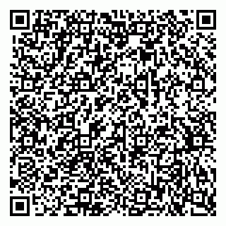 vCard 79378700271