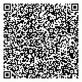 vCard 79378700272