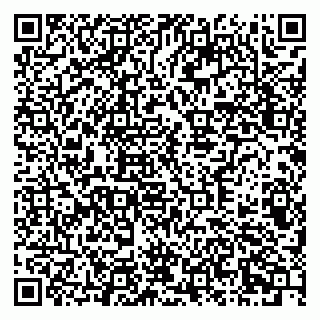 vCard 79378700274