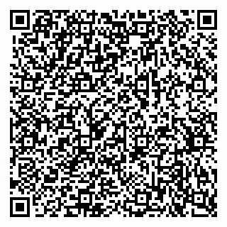 vCard 79378700275
