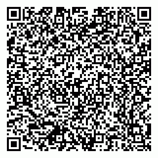 vCard 79378700281