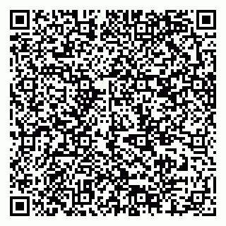 vCard 79378700285
