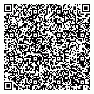 vCard 79378700288