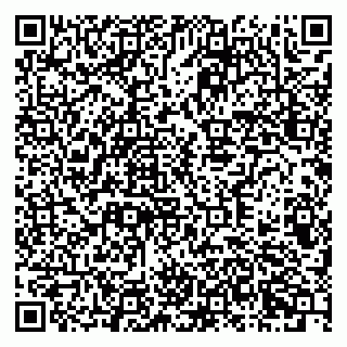 vCard 79378700289