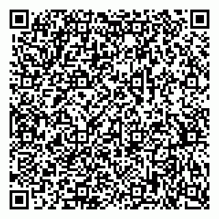 vCard 79378700290