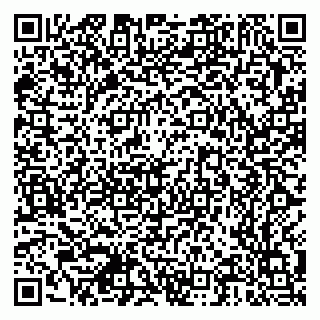 vCard 79378700291