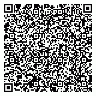 vCard 79378700294