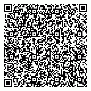 vCard 79378700295