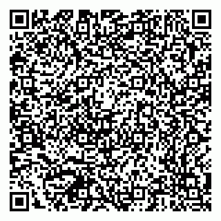 vCard 79378700297