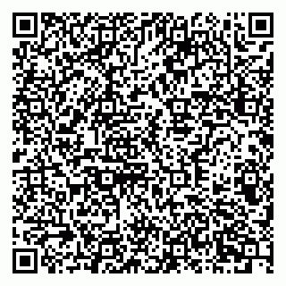 vCard 79378700300