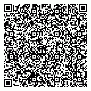vCard 79378700301