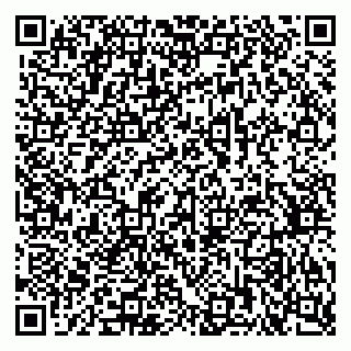 vCard 79378700303