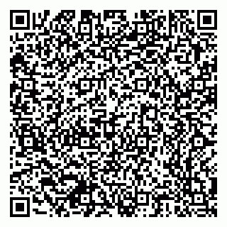 vCard 79378700305