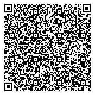 vCard 79378700306