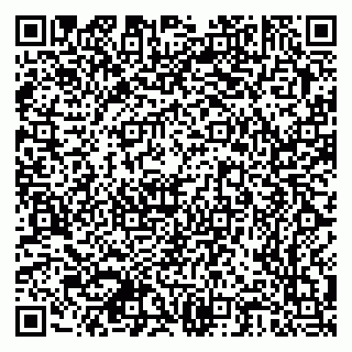 vCard 79378700309
