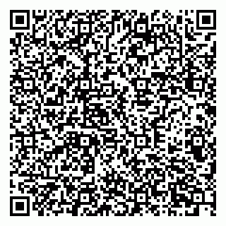vCard 79378700310