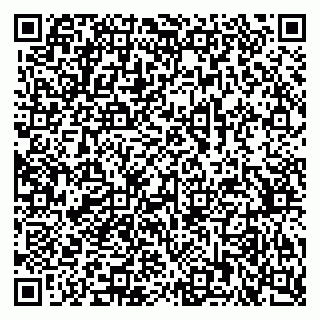 vCard 79378700313