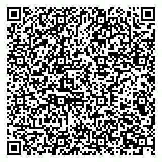 vCard 79378700315