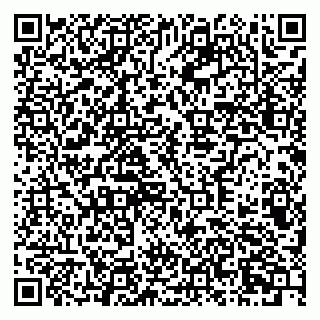 vCard 79378700317