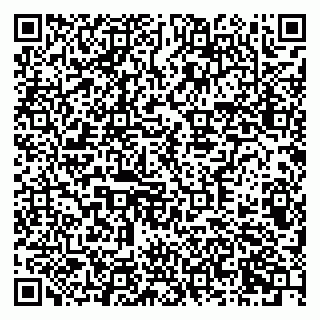 vCard 79378700318