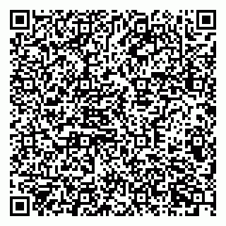 vCard 79378700319