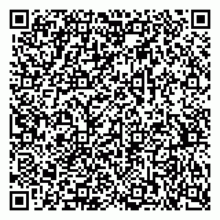 vCard 79378700320