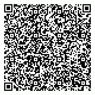 vCard 79378700321