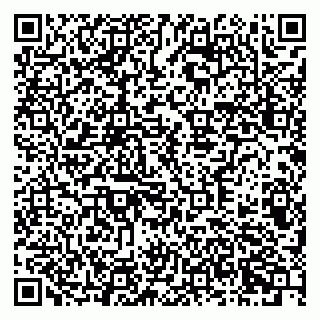 vCard 79378700329