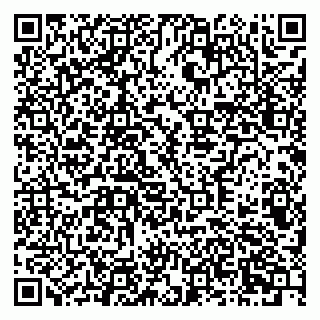 vCard 79378700330