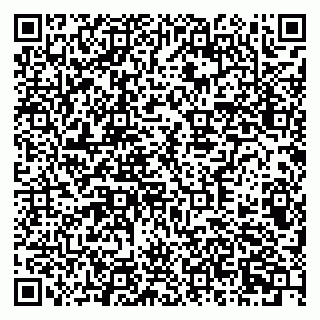 vCard 79378700331