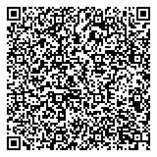 vCard 79378700333
