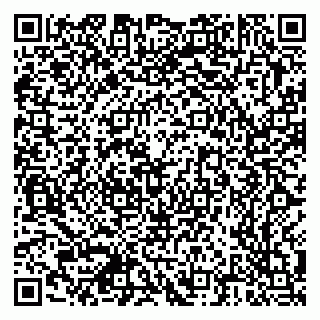 vCard 79378700334