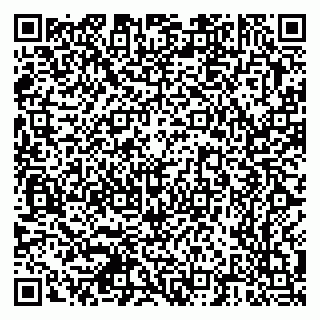 vCard 79378700335
