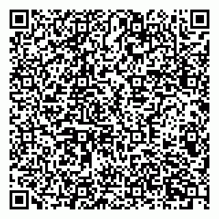 vCard 79378700337