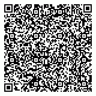vCard 79378700339