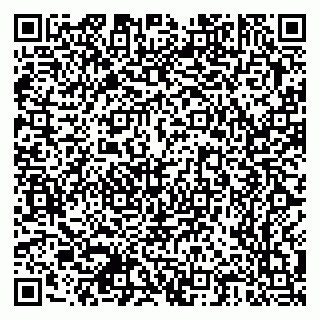 vCard 79378700341