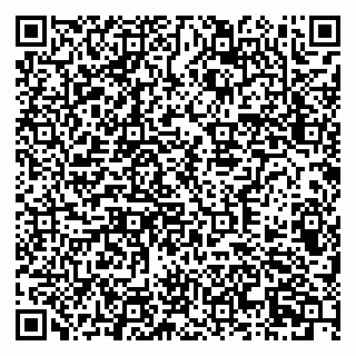 vCard 79378700351