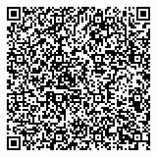 vCard 79378700354