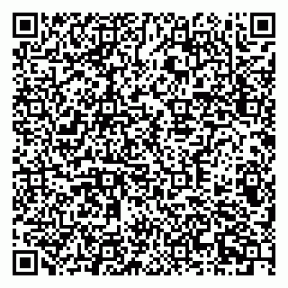 vCard 79378700355