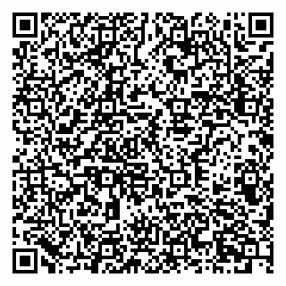 vCard 79378700357