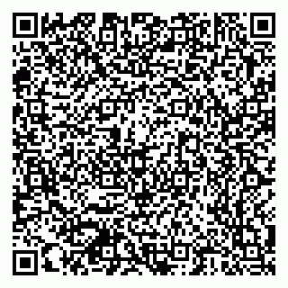 vCard 79378700359