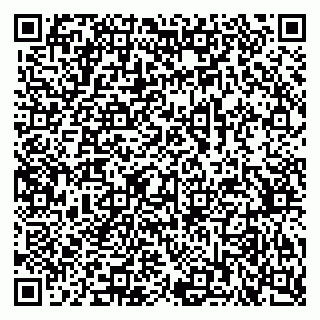 vCard 79378700363