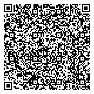 vCard 79378700370