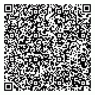 vCard 79378700381