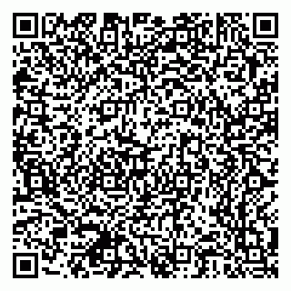 vCard 79378700389